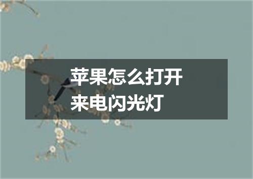 苹果怎么打开来电闪光灯