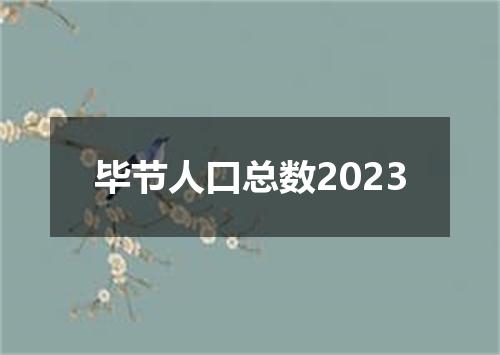 毕节人口总数2023
