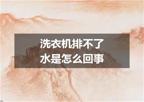 洗衣机排不了水是怎么回事