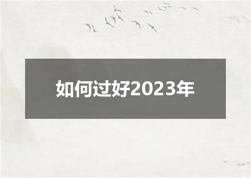 如何过好2023年