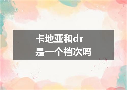 卡地亚和dr是一个档次吗