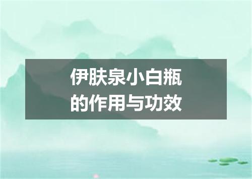 伊肤泉小白瓶的作用与功效