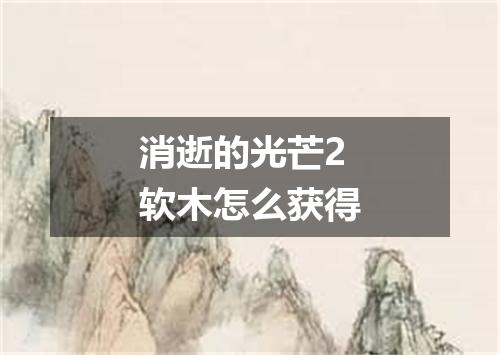 消逝的光芒2软木怎么获得