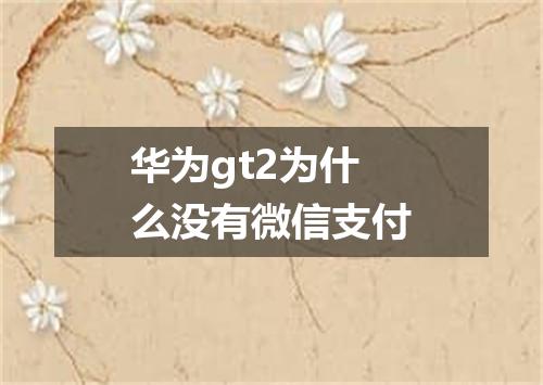 华为gt2为什么没有微信支付