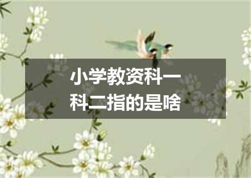 小学教资科一科二指的是啥