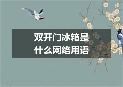 双开门冰箱是什么网络用语