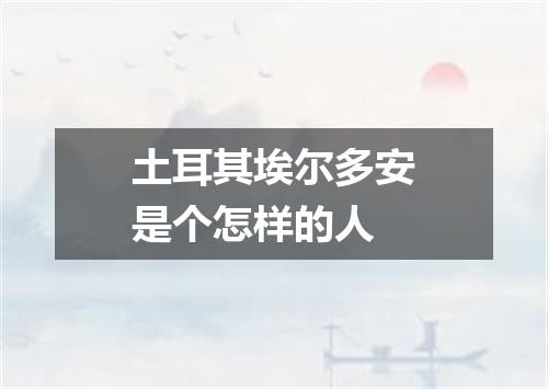 土耳其埃尔多安是个怎样的人