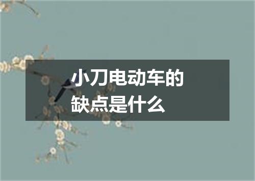 小刀电动车的缺点是什么