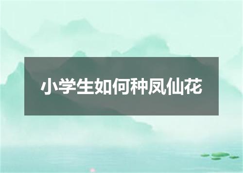 小学生如何种凤仙花