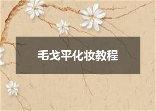 毛戈平化妆教程