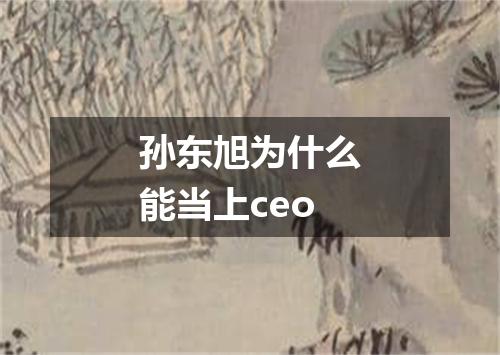 孙东旭为什么能当上ceo