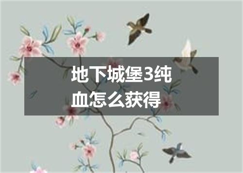 地下城堡3纯血怎么获得