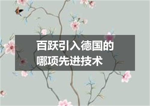 百跃引入德国的哪项先进技术