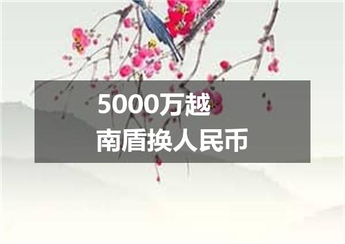 5000万越南盾换人民币