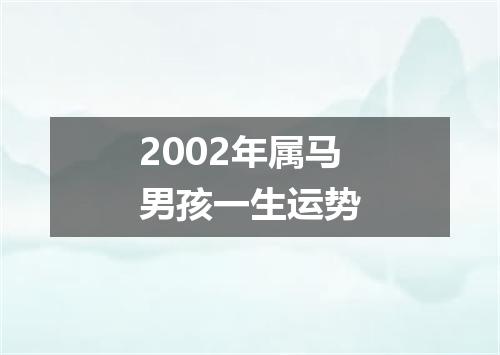 2002年属马男孩一生运势