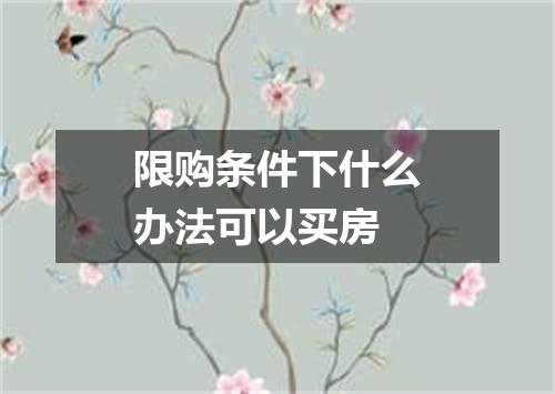 限购条件下什么办法可以买房