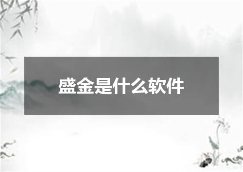 盛金是什么软件