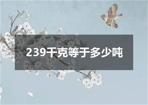 239千克等于多少吨