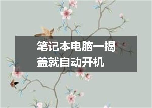 笔记本电脑一揭盖就自动开机