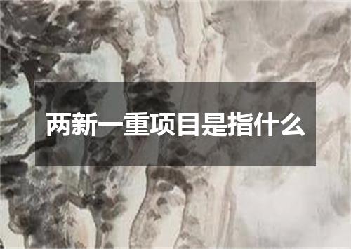 两新一重项目是指什么