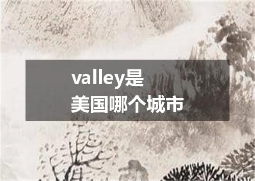 valley是美国哪个城市