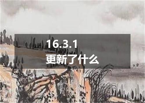 16.3.1更新了什么