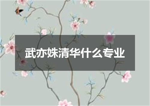 武亦姝清华什么专业