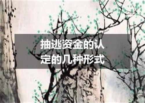 抽逃资金的认定的几种形式