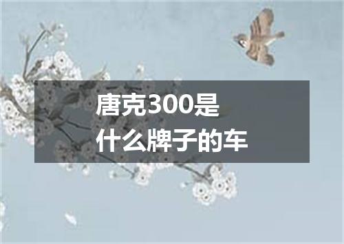 唐克300是什么牌子的车