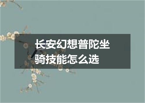 长安幻想普陀坐骑技能怎么选