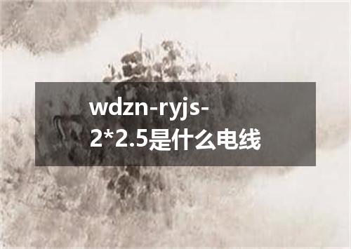 wdzn-ryjs-2*2.5是什么电线