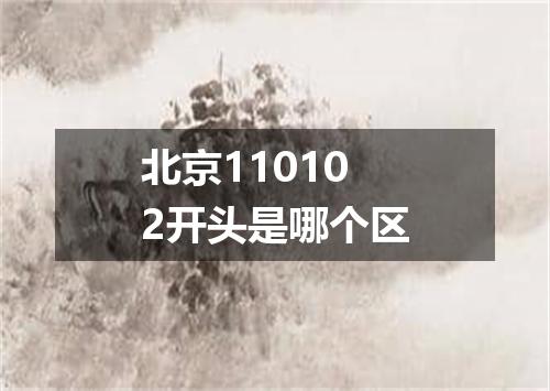 北京110102开头是哪个区