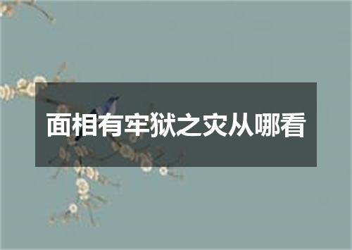 面相有牢狱之灾从哪看
