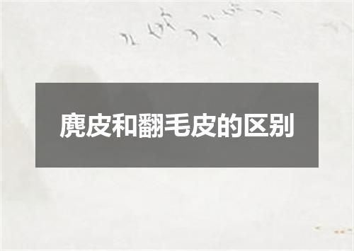 麂皮和翻毛皮的区别