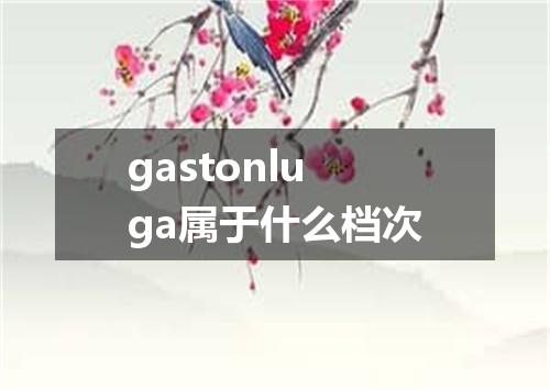 gastonluga属于什么档次
