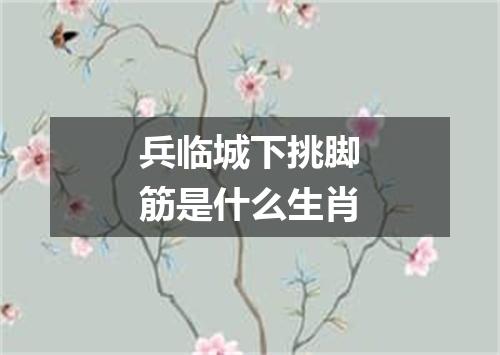 兵临城下挑脚筋是什么生肖