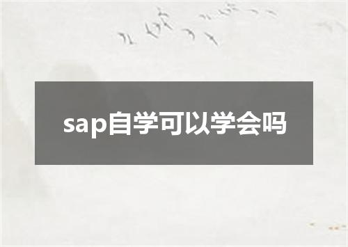 sap自学可以学会吗
