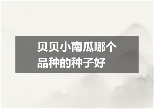 贝贝小南瓜哪个品种的种子好