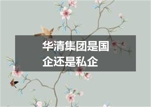 华清集团是国企还是私企