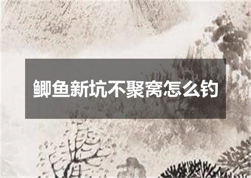 鲫鱼新坑不聚窝怎么钓