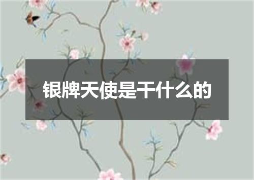 银牌天使是干什么的