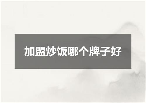 加盟炒饭哪个牌子好