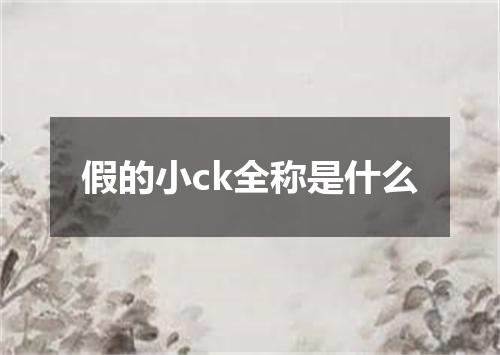 假的小ck全称是什么