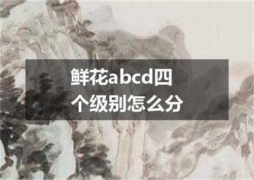 鲜花abcd四个级别怎么分