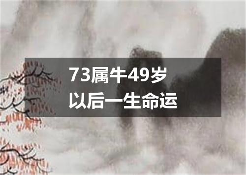 73属牛49岁以后一生命运