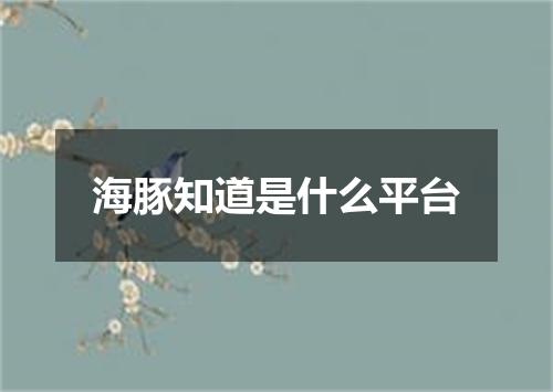海豚知道是什么平台