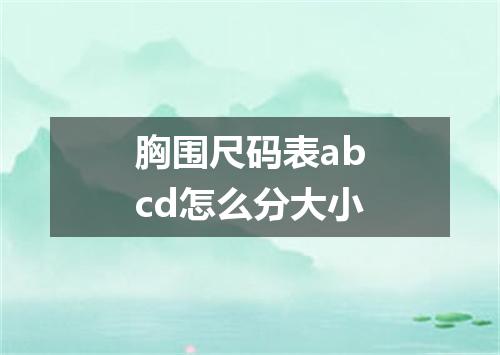 胸围尺码表abcd怎么分大小
