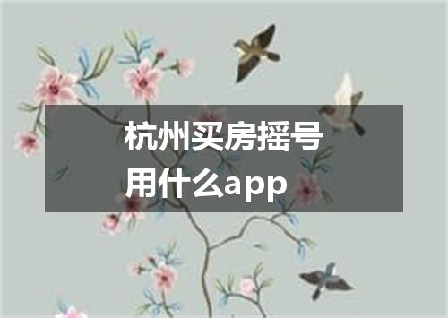 杭州买房摇号用什么app