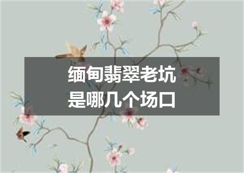 缅甸翡翠老坑是哪几个场口