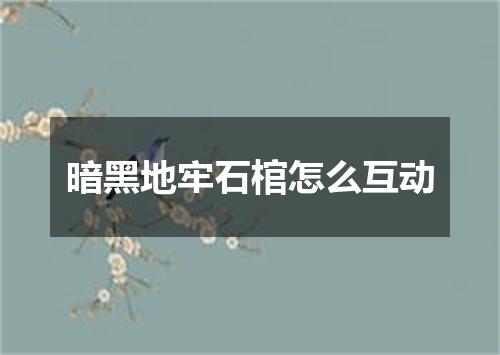 暗黑地牢石棺怎么互动